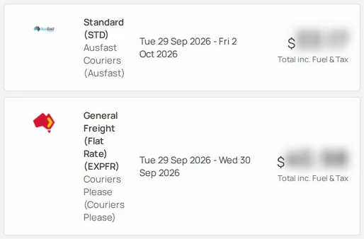 Two carrier routes listed in Senditt's platform for a test consignment, each with its service and dates, prices blurred